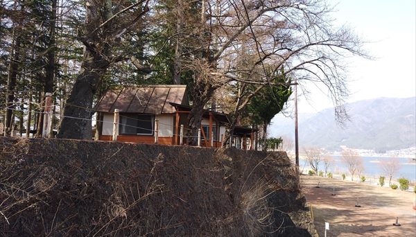 ニューブリッヂキャンプ場